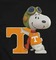 Tennessee - zadarmo png animovaný GIF