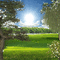 animated background tree nature - GIF animasi gratis GIF animasi