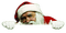 Santa Claus.Papá Noel.Victoriabea - png gratis GIF animado