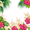 tropical palm flowers red green frame - 免费PNG 动画 GIF