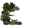 tub arbre - Ingyenes animált GIF animált GIF