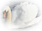 swan - gratis png animerad GIF
