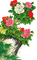 loly33 fleur - nemokama png animuotas GIF