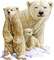 Kaz_Creations Animals Animal Polar Bears - zadarmo png animovaný GIF