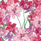 pink flower background frame - PNG gratuit GIF animé