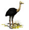 ostrich - GIF animé gratuit GIF animé