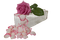 tube boite de roses - ingyenes png animált GIF