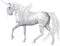 cecily-belle licorne blanche - PNG gratuit GIF animé
