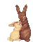 Lapin.Rabbit.Conejo.hare.Gif.Victoriabea - GIF animé gratuit GIF animé