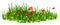 PLANTAS - Free PNG Animated GIF