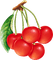 cherries Bb2 - gratis png geanimeerde GIF