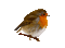 Kaz_Creations Birds Bird - Бесплатный анимированный гифка анимированный гифка