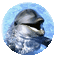 dolphin deco - Zdarma animovaný GIF animovaný GIF