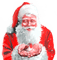 Y.A.M._New year Christmas Santa Claus - darmowe png animowany gif