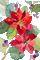 Holy red watercolor flower Christmas - Nemokamas animacinis gif animuotas GIF