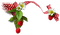 kikkapink deco border strawberry - gratis png animerad GIF