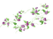 blomma--flower--purple--lila - бесплатно png анимированный гифка