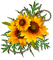sunflower by nataliplus