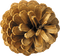 pinecone - darmowe png animowany gif