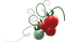 tomaatti, tomato - zdarma png animovaný GIF