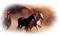 sylvain chevaux - zadarmo png animovaný GIF