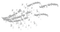 soave text birthday white - 免费PNG 动画 GIF