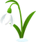 Snowdrop  Bb2 - Free PNG Animated GIF