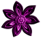 Christmas.Flower.Purple - PNG gratuit GIF animé