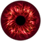Kaz_Creations Eyes Eye Colours - безплатен png анимиран GIF