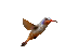 Птица - Бесплатный анимированный гифка анимированный гифка