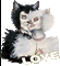 laurachan love cats - 免费动画 GIF 动画 GIF