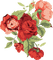 All my lovely flowers - darmowe png animowany gif