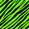 emo scene zebra - GIF เคลื่อนไหวฟรี GIF แบบเคลื่อนไหว