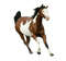 Kaz_Creations Horse - ücretsiz png animasyonlu GIF