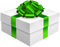 Kaz_Creations Gift Box Birthday Ribbons Bows  Occasion Green - PNG gratuit GIF animé