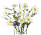 fleur - gratis png geanimeerde GIF