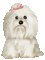 Hond - Bezmaksas animēts GIF animēts GIF