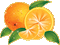 MMarcia gif orange laranja - 免费动画 GIF 动画 GIF