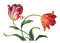 All my lovely flowers - bezmaksas png animēts GIF