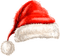 Santa hat. Leila - darmowe png animowany gif