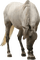 white horse - δωρεάν png κινούμενο GIF