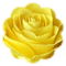 trandafir - gratis png animerad GIF
