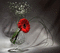 Fleur - Bezmaksas animēts GIF animēts GIF