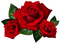 les roses - png gratis GIF animasi