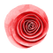 kikkapink deco scrap pink red flower - PNG gratuit GIF animé