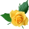 rose - ücretsiz png animasyonlu GIF