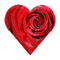 red rose heart flower sunshine3 - безплатен png анимиран GIF