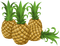 Ananas - δωρεάν png κινούμενο GIF