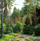 Rena Background Landschaft - безплатен png анимиран GIF