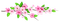 Kaz_Creations Flowers Flower Branch - PNG gratuit GIF animé